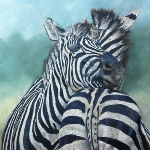 Two Zebras - 5