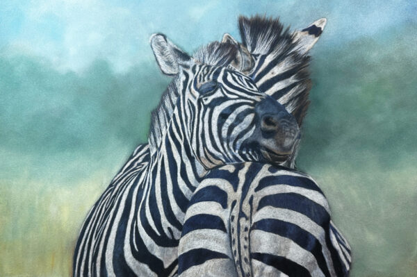 Two Zebras