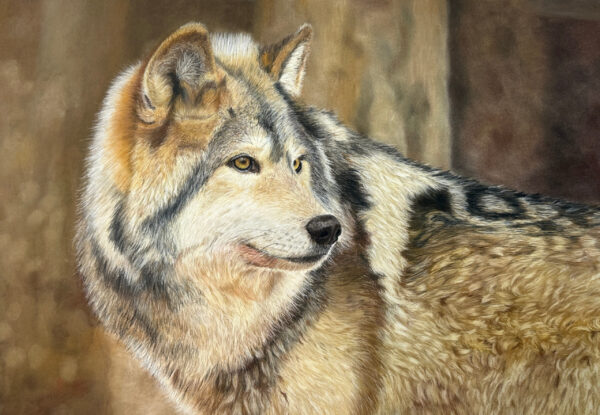 Wolf - SOLD!
